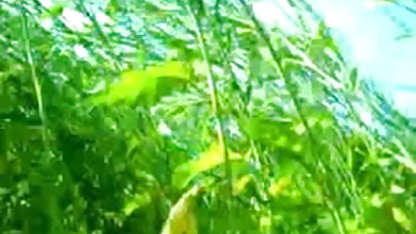 एक चयन बीपी सेक्सी इंग्लिश पिक्चर के साथ लड़कियों के बड़े खड़े निपल्स कि प्रफुल्लित